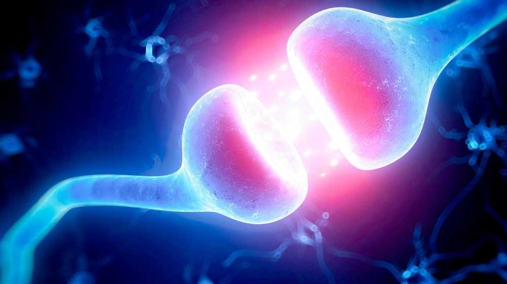 Die Wissenschaft steht nicht still. Erst 1992 wurden neue Arten von Nervenrezeptoren entdeckt!